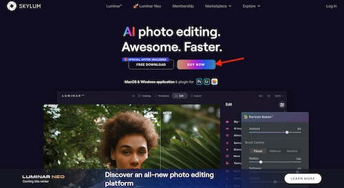 Skylum shopping cart