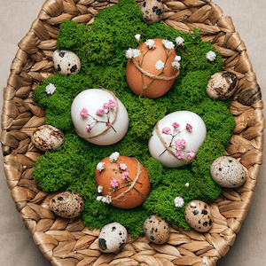 Easter Coupons and Promo Codes | coupontoshare.com